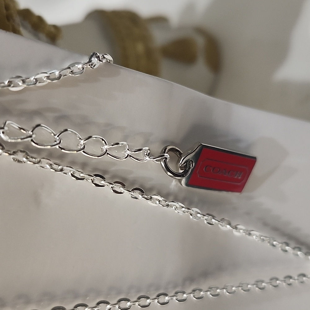 Coach Watermelon Pendant Necklace - Pink and Green On Unbranded Chain W/Studs - Picture 5 of 9